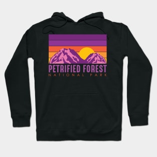 Petrified Forest National Park - Arizona Hoodie